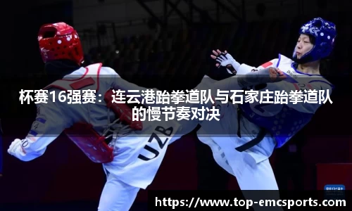 EMC易倍