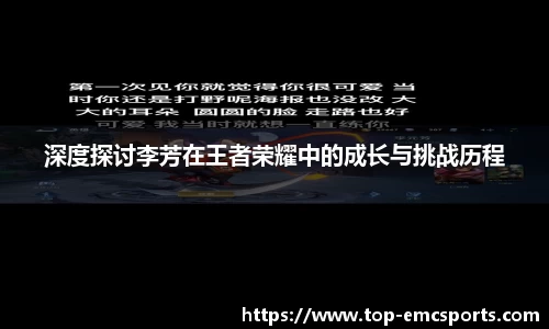 EMC易倍